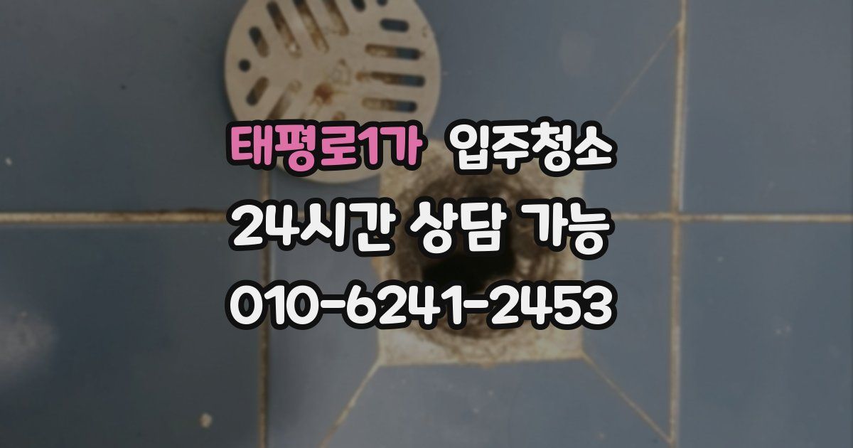태평로1가 입주청소