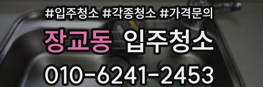 장교동 이사청소