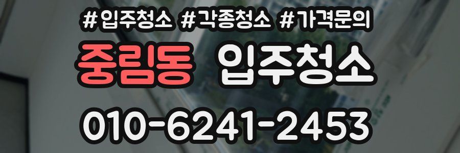 중림동 이사청소