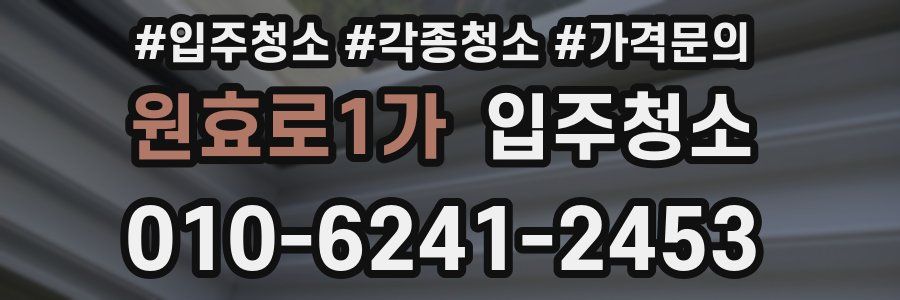 원효로1가 이사청소