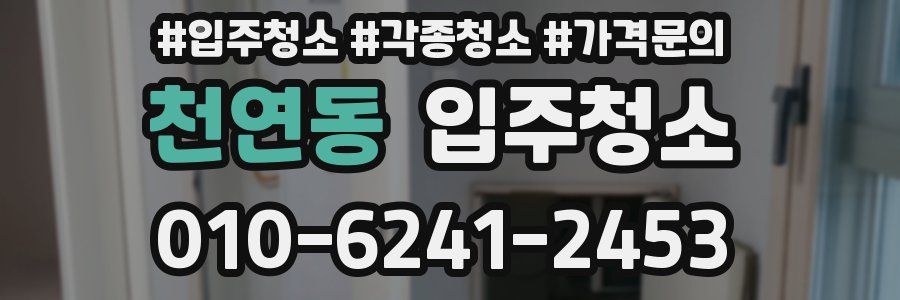 천연동 이사청소