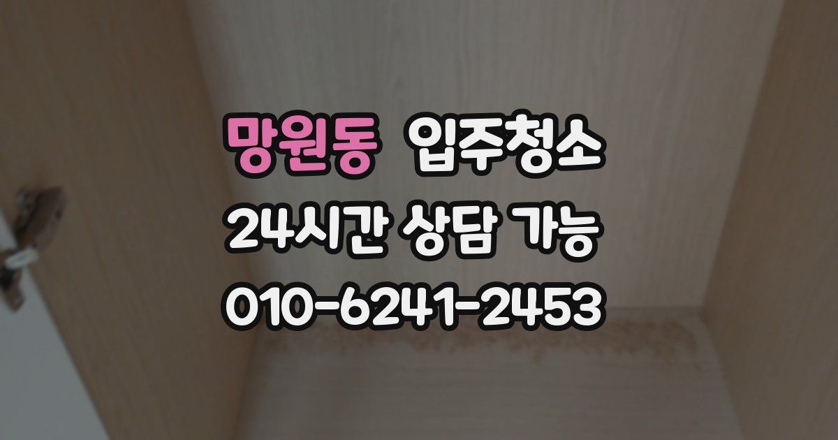 망원동 입주청소