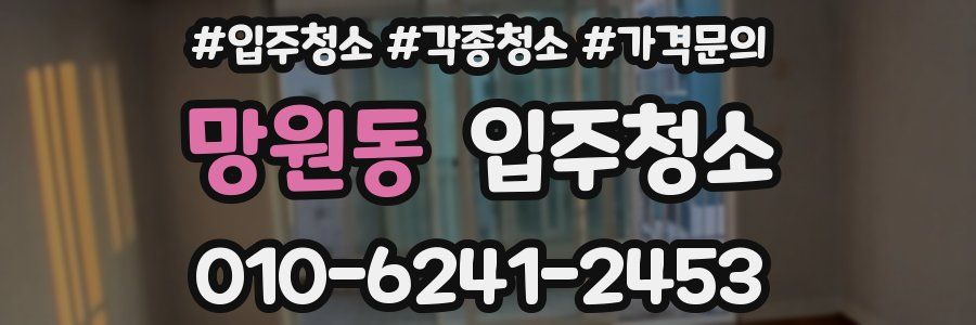 망원동 이사청소