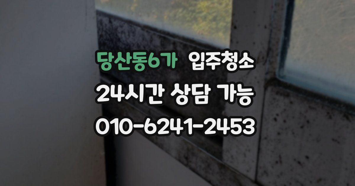 당산동6가 입주청소