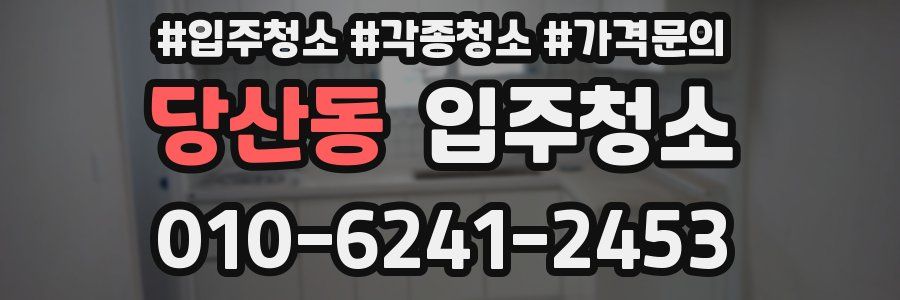 당산동 이사청소