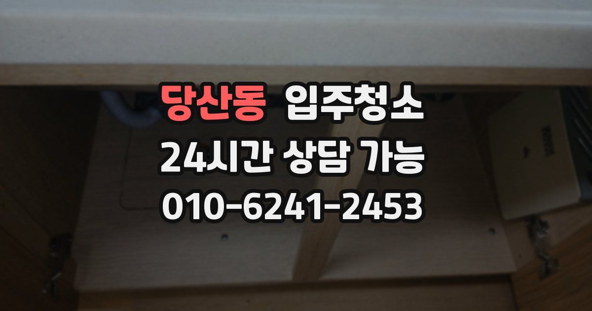 당산동 입주청소