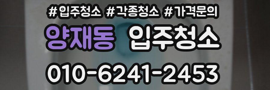 양재동 이사청소