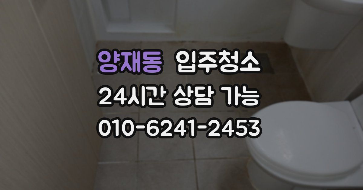 양재동 입주청소
