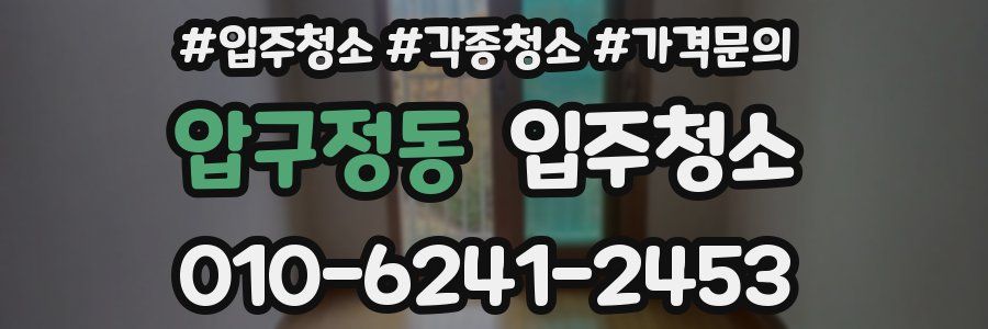 압구정동 이사청소