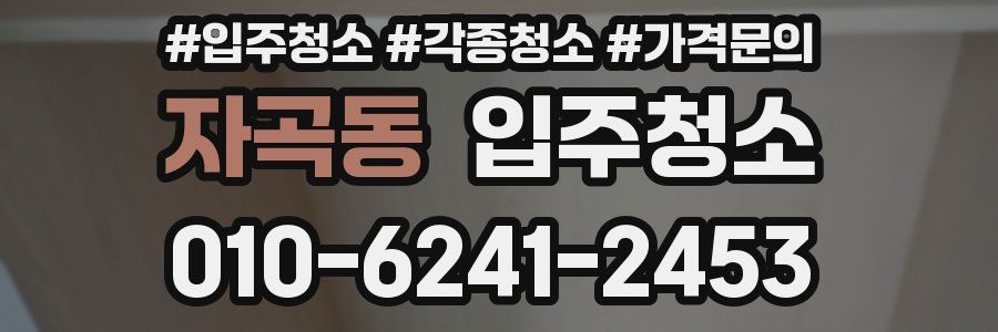 자곡동 이사청소