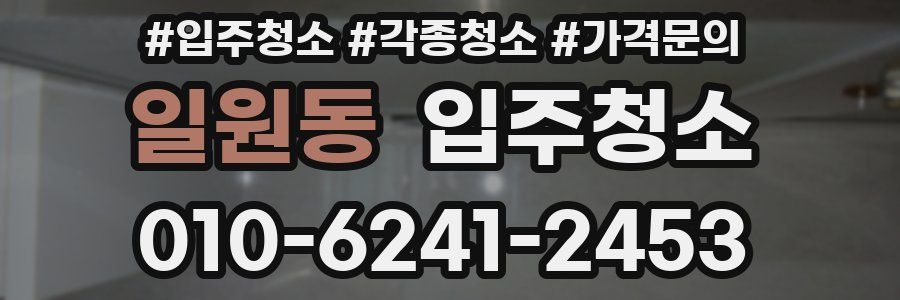 일원동 이사청소