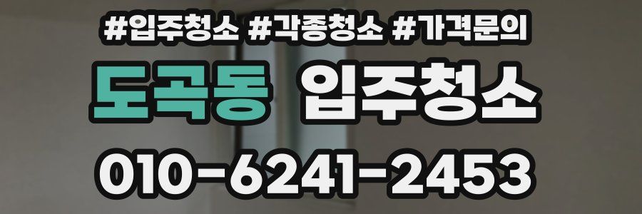 도곡동 이사청소