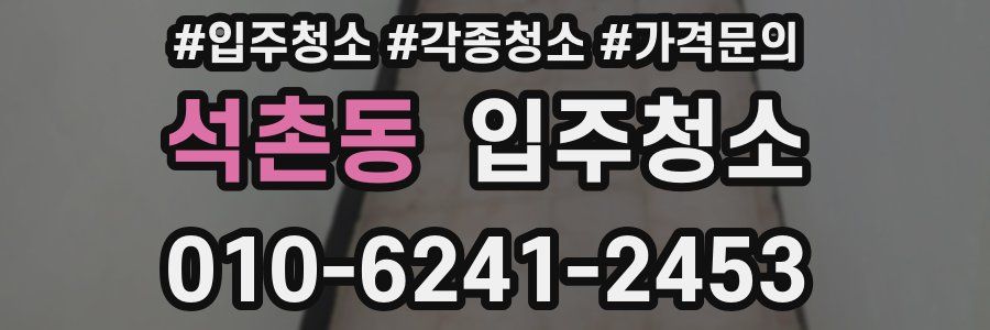 석촌동 이사청소