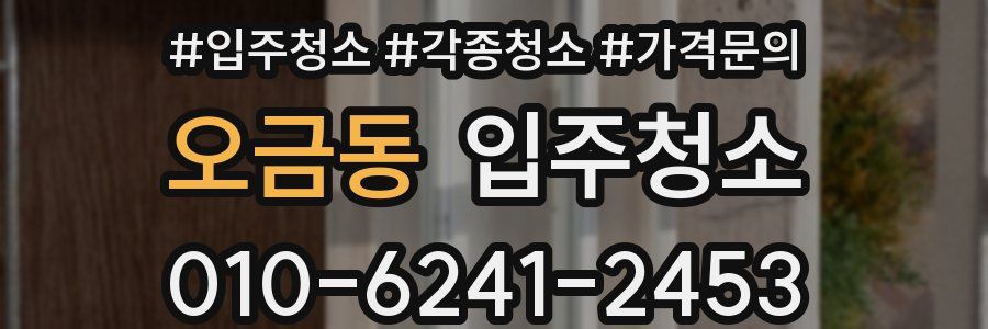 오금동 이사청소