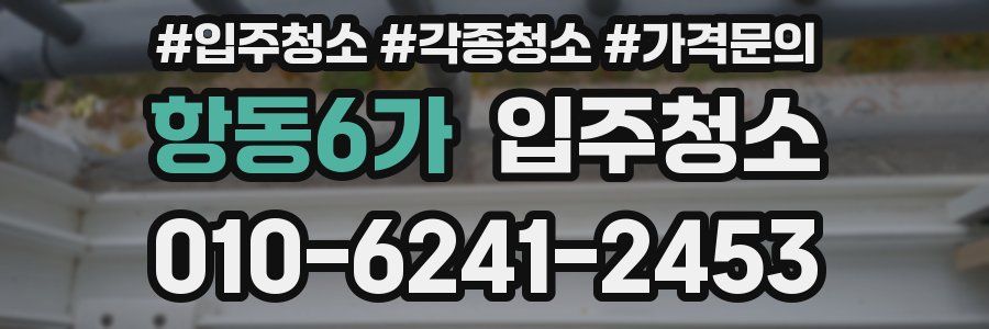 항동6가 이사청소