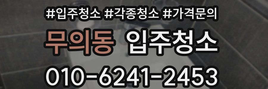 무의동 이사청소