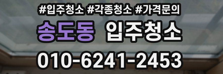 송도동 이사청소