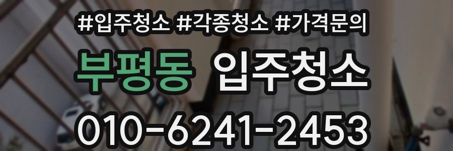 부평동 이사청소