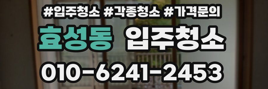 효성동 이사청소