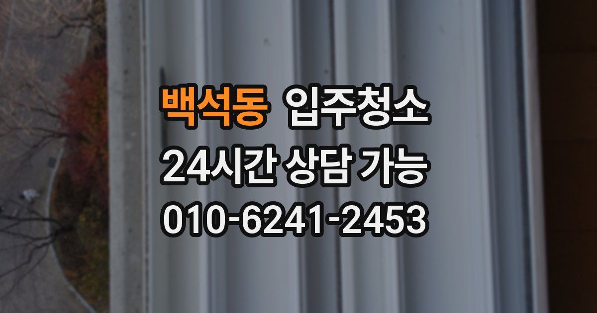 백석동 입주청소