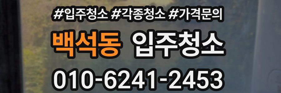 백석동 이사청소