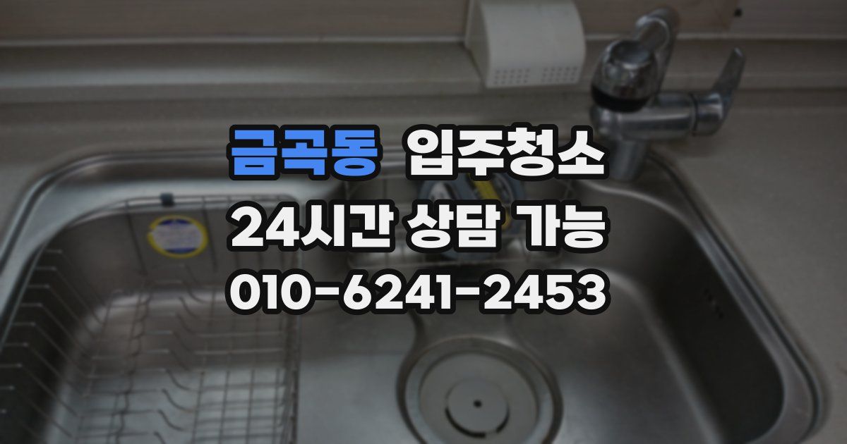 금곡동 입주청소