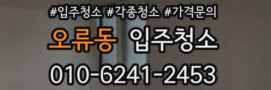 오류동 이사청소