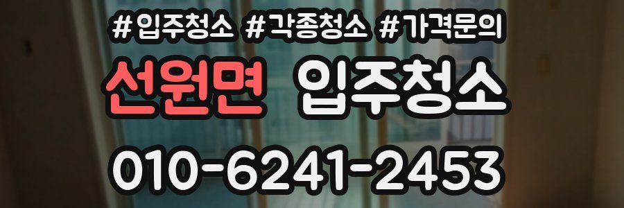 선원면 이사청소