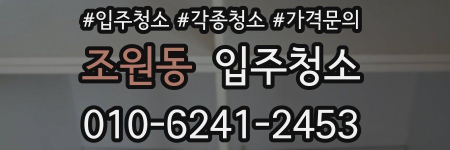 조원동 이사청소