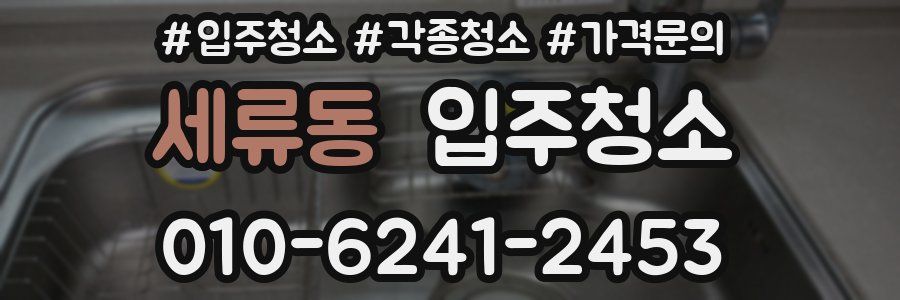 세류동 이사청소