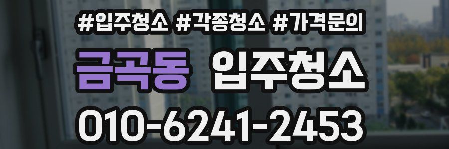 금곡동 이사청소