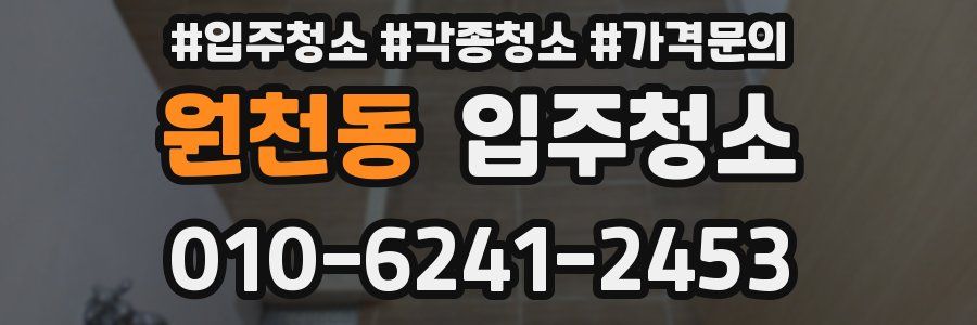 원천동 이사청소