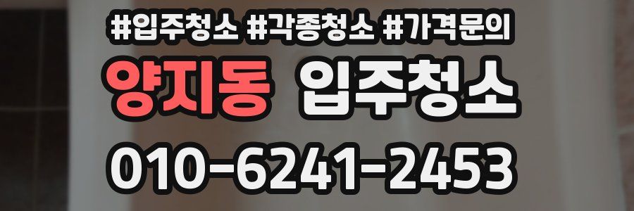 양지동 이사청소