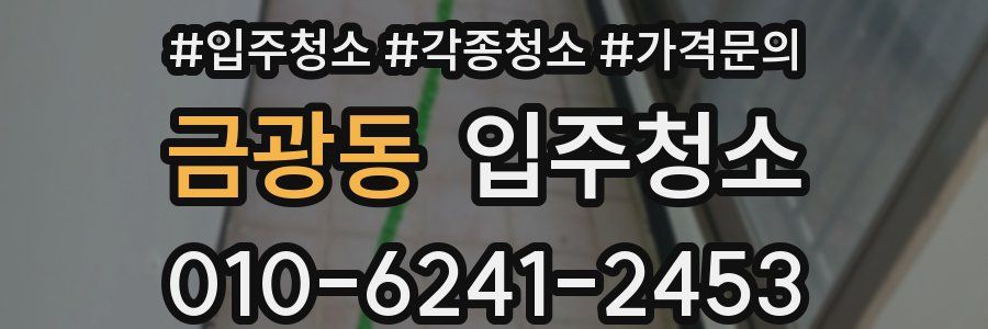 금광동 이사청소