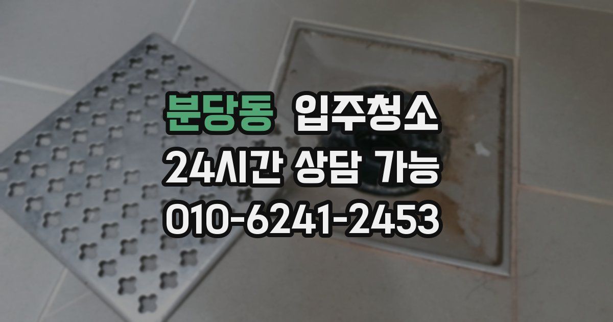 분당동 입주청소