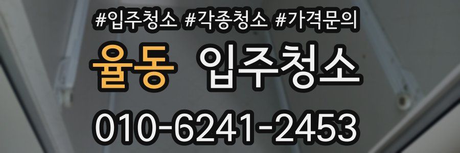 율동 이사청소
