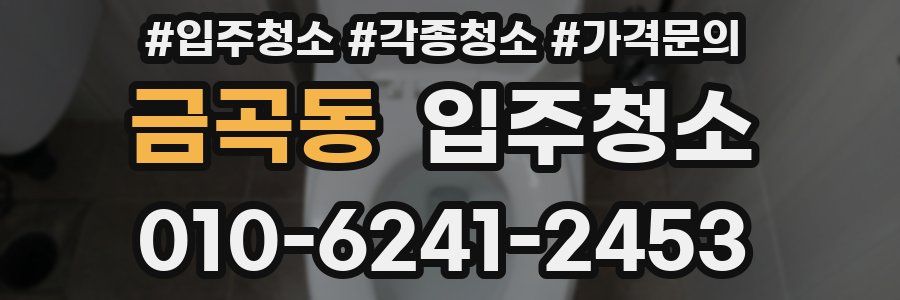 금곡동 이사청소