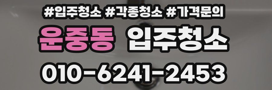 운중동 이사청소