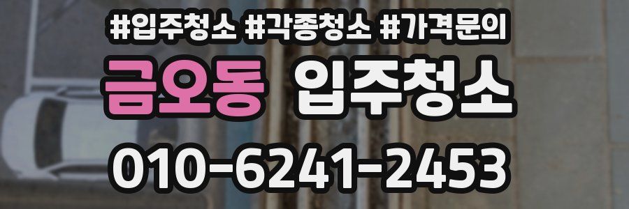 금오동 이사청소