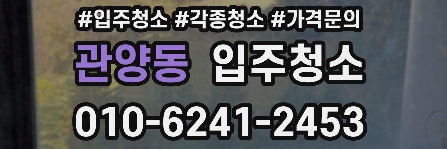 관양동 이사청소