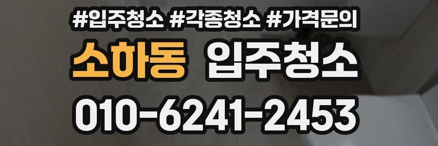 소하동 이사청소