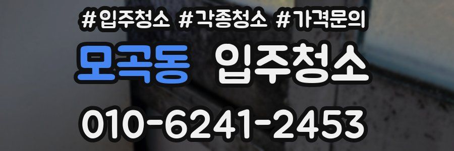 모곡동 이사청소