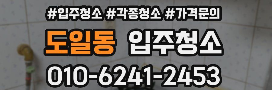 도일동 이사청소