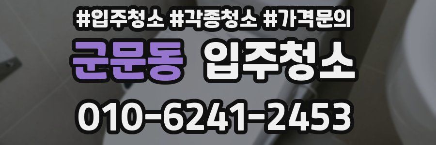 군문동 이사청소