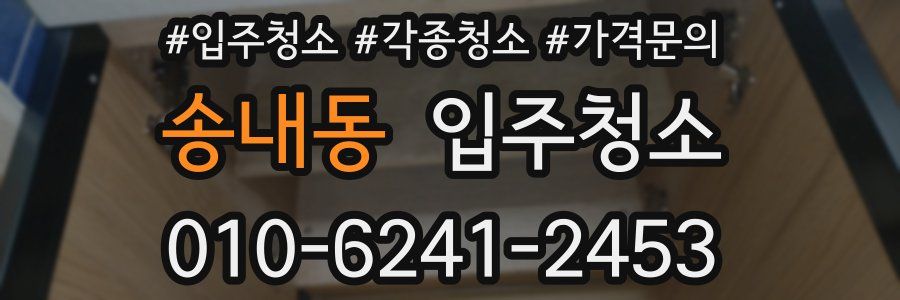 송내동 이사청소