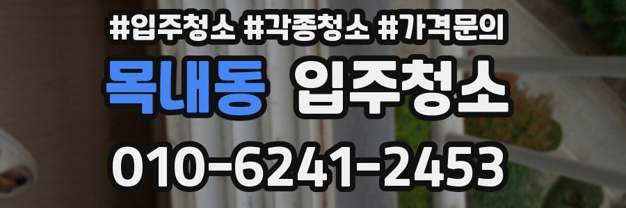 목내동 이사청소