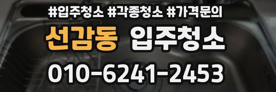 선감동 이사청소