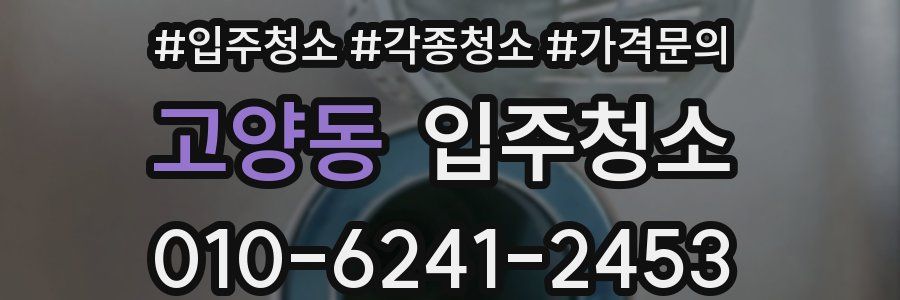 고양동 이사청소
