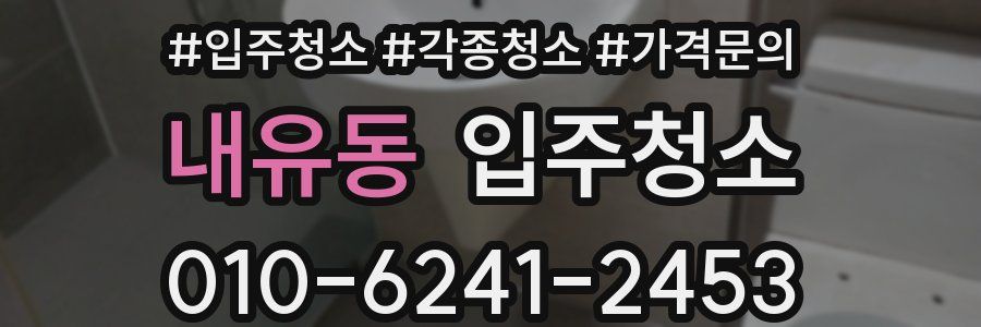 내유동 이사청소