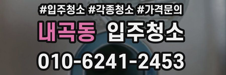 내곡동 이사청소